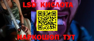стаф Дубна