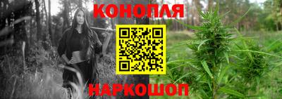 спиды Донской