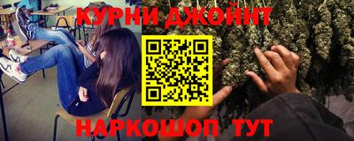 стаф Дубна