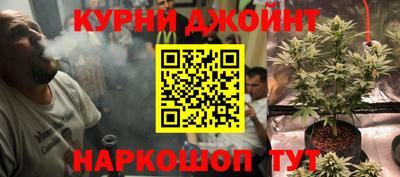 спиды Донской
