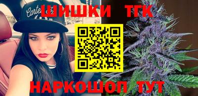 стаф Дубна