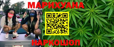 стаф Дубна