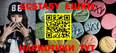 стаф Дубна