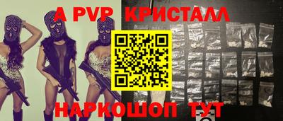 спиды Донской