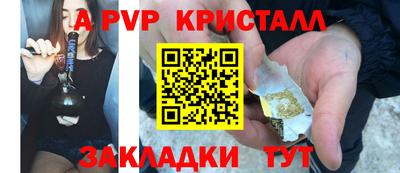 спиды Донской