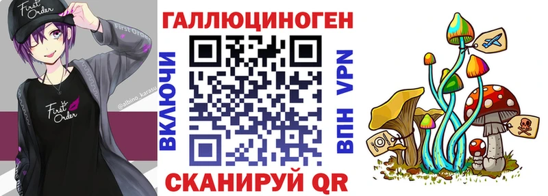 Галлюциногенные грибы Psilocybine cubensis  МЕГА ссылки  Майский 