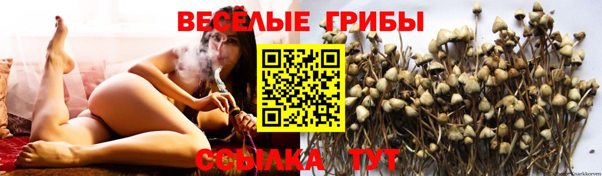 Псилоцибиновые грибы прущие грибы Майский